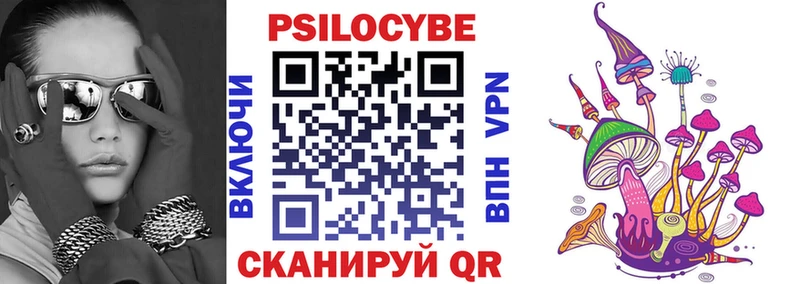 Купить  Нюрба  Псилоцибиновые грибы Cubensis 